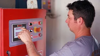 Technology transforms pig farming and increases farm efficiency | Interligados