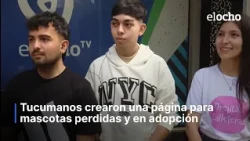 TUCUMÁN RESIDENTS CREATED A WEBSITE FOR LOST AND ADOPTABLE PETS