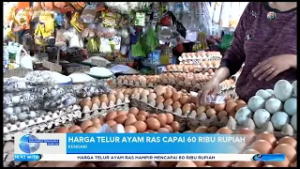 HARGA TELUR AYAM RAS CAPAI 60 RIBU RUPIAH