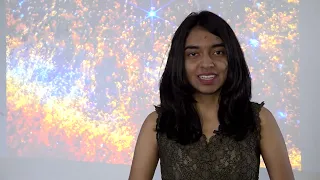 Astronomical Nights: The Hidden Life of Stars