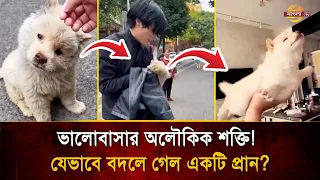 মানুষের হাত স্পর্শ করতেই আ/ত/ঙ্কে চি/ৎকার! তারপর জ্যাকেট পেঁচিয়ে যা হলো... | Bangla TV