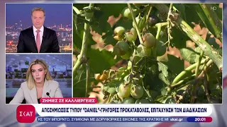 Ζημιές σε καλλιέργειες: Αποζημιώσεις τύπου "Daniel" - Γρήγορες προκαταβολές, επιτάχυνση διαδικασιών