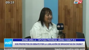 Dos proyectos en Legislatura buscan resolver la jubilación de Brigadistas sin aportes