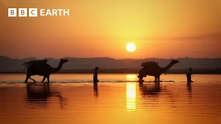 An EPIC Journey Through The Ganges | BBC Earth