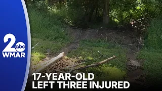 Teen struck officers with stolen car