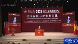 Former Foreign Officials Focus on the Asia-Pacific Community and Call for Practical Cooperation