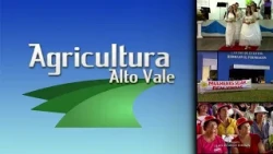 Alto Vale Agriculture 2009: recorded events and cooperative initiatives in the region