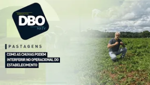 Pastagens: como as chuvas podem interferir no operacional do estabelecimento