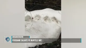 PERSOANE SALVATE PE MUNTELE MIC