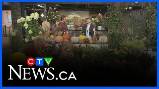 Good to Grow with Robert Plante Greenhouses