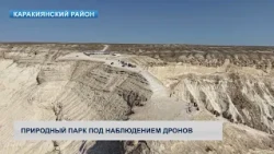 Nature Park Under Drone Surveillance