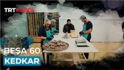 Kedkar - Beşa 60.