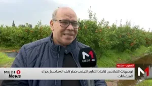 توجيهات للفلاحين لاتخاذ التدابير لتجنيب خطر تلف المحاصيل جراء الفيضانات