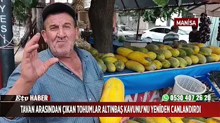 Seeds found in the attic revived the Altınbaş Melon