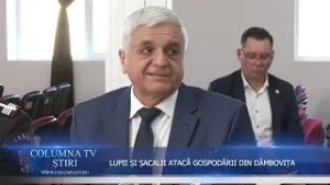 LUPII ȘI ȘACALII ATACĂ GOSPODĂRII DIN DÂMBOVIȚA