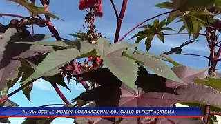 INTERNATIONAL INVESTIGATION INTO THE PIETRACATELLA MYSTERY BEGINS TODAY