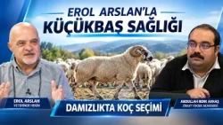 DAMIZLIKTA KOÇ SEÇİMİ I EROL ARSLAN'LA KÜÇÜKBAŞ SAĞLIĞI