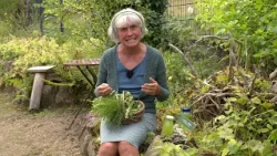 Green ELIXIR OF LIFE from herbs to fight EXHAUSTION