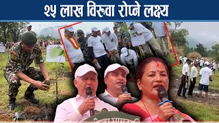लुम्बिनीमा वृहत वृक्षारोपण शुरु, अभियान तीव्र - NEWS24 TV