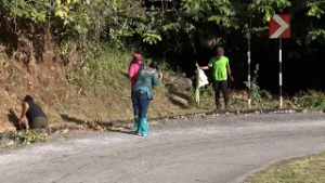 National Cleanup Programme Brings Jobs And Clean Streets To Caura