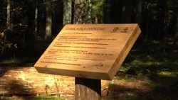 W Puszczy Kozienickiej powstała nowa wyjątkowa atrakcja