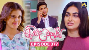 Hiripoda Wessa (හිරිපොද වැස්ස) | Episode 377 | 27th February 2026 | Swarnavahini