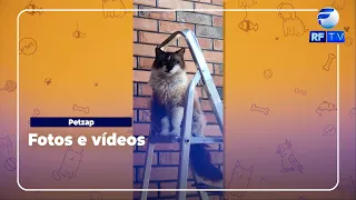 Your pet is our star!