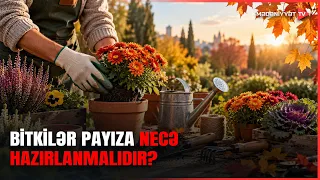 Fəsil keçidində bitkilərin əsas problemləri