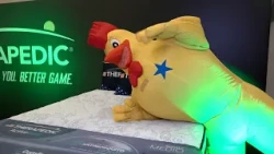 El Gallo más Gallo introduces the Therapedic bed line