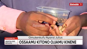 Вот какие культуры приносят прибыль, и кто владеет фермой по выращиванию тега-ушей. - Аналитик Дж...