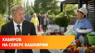 Gardeners, a college, and a water pipeline: The changes Radiy Khabirov promised the residents of ...