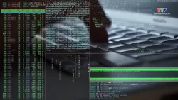 Starting 11/11: Fines up to 120 Million VND for Leaking Sensitive Data