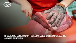 Brazil adopts new control measures for meat exports to the European Union