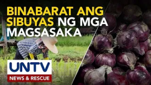 Mga magsasaka ng sibuyas, umaangal sa murang presyo