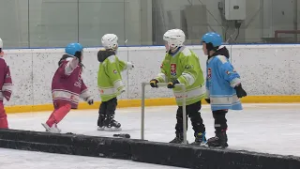 Školský korčuliarsky program