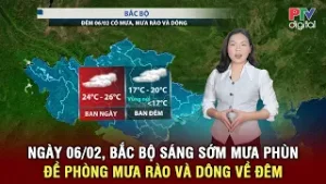 Thời tiết ngày mới 06/02 | Bắc Bộ sáng sớm mưa phùn, sương mù; Đề phòng mưa rào và dông về đêm