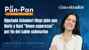 Diputado Schubert (Rep) pide que Boric y Kast "limen asperezas" por lio del cable submarino