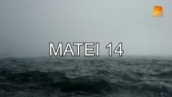 Bible Reading - Matthew 14