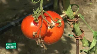 Good-looking, but above all, delicious! 07/27/2026