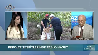 Summer Chats | Haydar Gürsu, President of the Fatsa Chamber of Agriculture