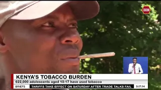 E-Cigarettes and nicotine pouches raise concern
