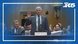 Dr. Fauci invokes 5th Amendment in Senate hearing