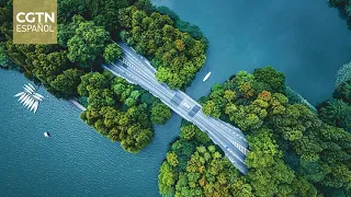 Foreign arrivals in Hangzhou reach 270,000 this year