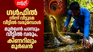 ജനുവരിയിൽ വീട്ടിൽ വന്ന മൂർഖനെ ഓഗസ്റ്റിൽ പിടികൂടി | Cobra Rescue by Vava Suresh | Snakemaster EP 1215