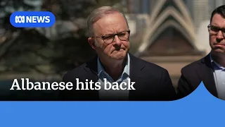 Anthony Albanese fires back at Pauline Hanson over attack on his mum | ABC NEWS