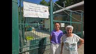 Frane ed extracosti, SOS dal canile di Monte Gazzo: "Rischiamo la chiusura"
