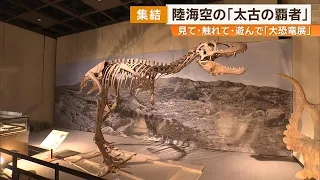 J-chan Special 08/21/2026