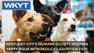 Kentucky city's Humane Society hosting Yappy Hour with reduced adoption fees