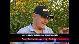 SFIDAT E FERMERËVE NË FSHATIN MURIQAN TË SHKODRËS