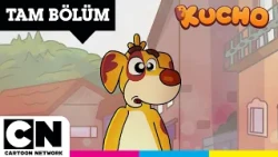 Kayıp Şehir | KUCHO | TAM BÖLÜM | @cartoonnetworkturkiye